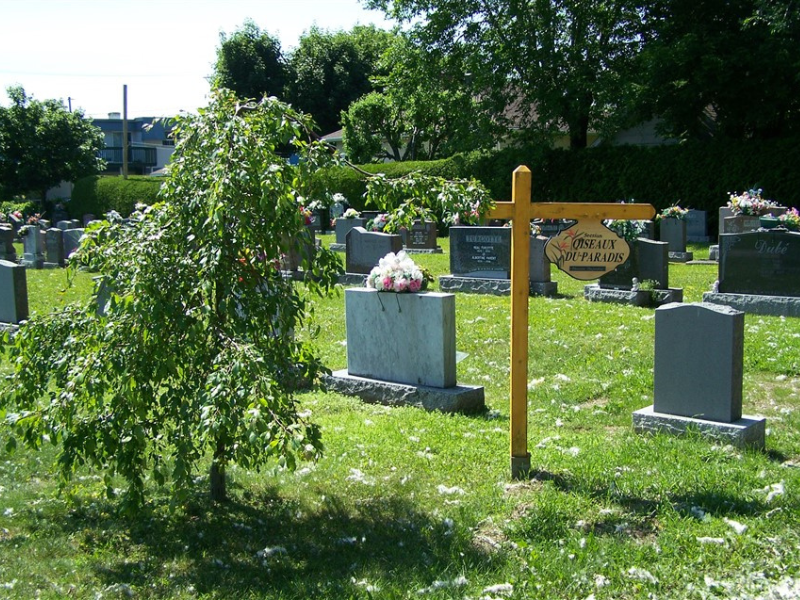 Image du cimetière de mont-joli